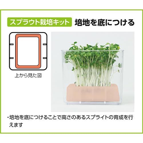 5営業日で発送