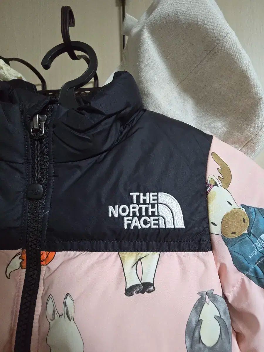 ザノースフェイス キッズ