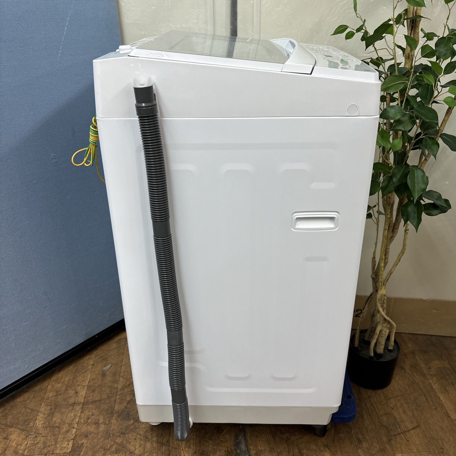 I392 🌈 2023年製の高年式♪ NITORI 洗濯機 （6.0㎏） ⭐ 動作確認済  