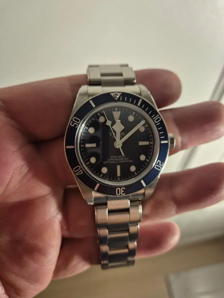 TUDOR チューダー