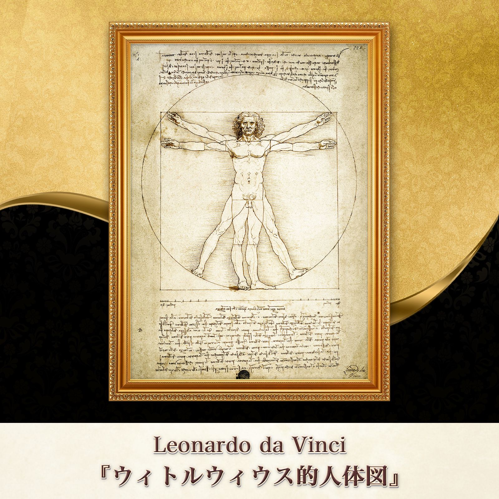 レオナルド・ダ・ヴィンチ『ウィトルウィウス的人体図』複製画