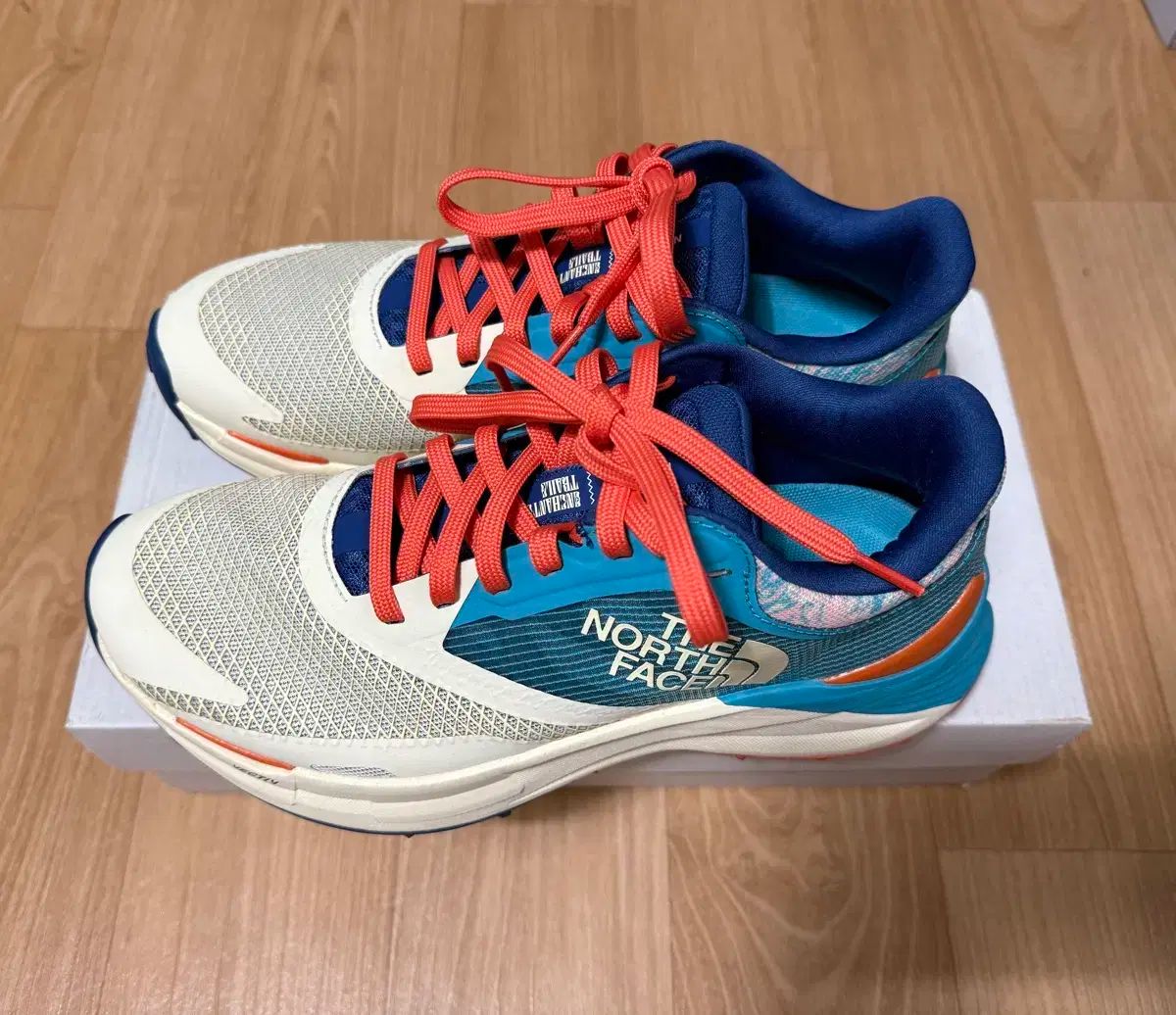 THE NORTH FACE ザノースフェイス トレッキング ランニングシューズ 245