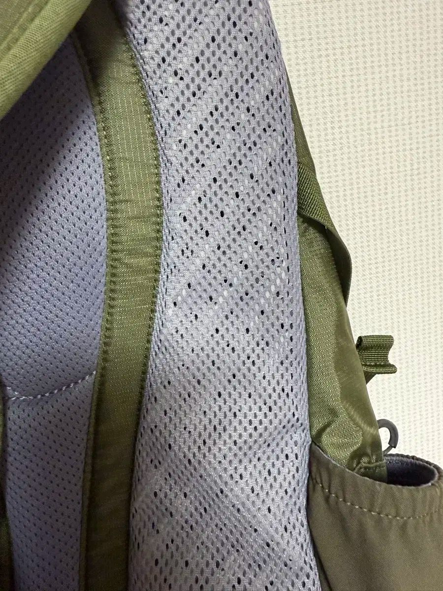 Kolon