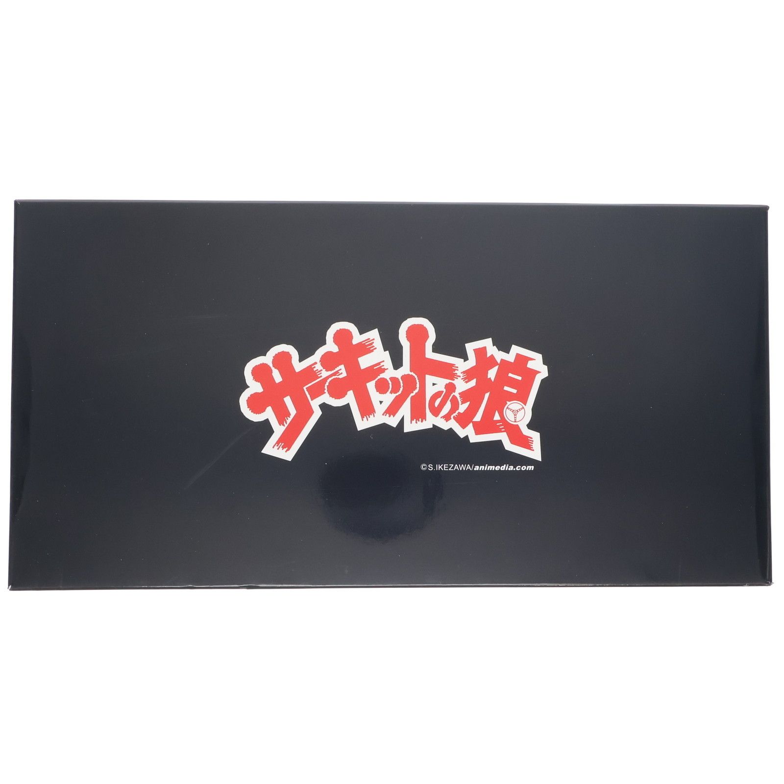 ポケモン DVD 12本セット ピカチュウ シリーズ サイドストーリー お