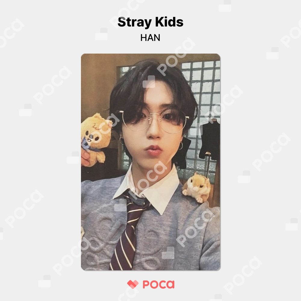 StrayKids MAGICSCHOOL 4期  STAY ZONE トレカ Stray Kids Stay zone photocard magic school concert seoul