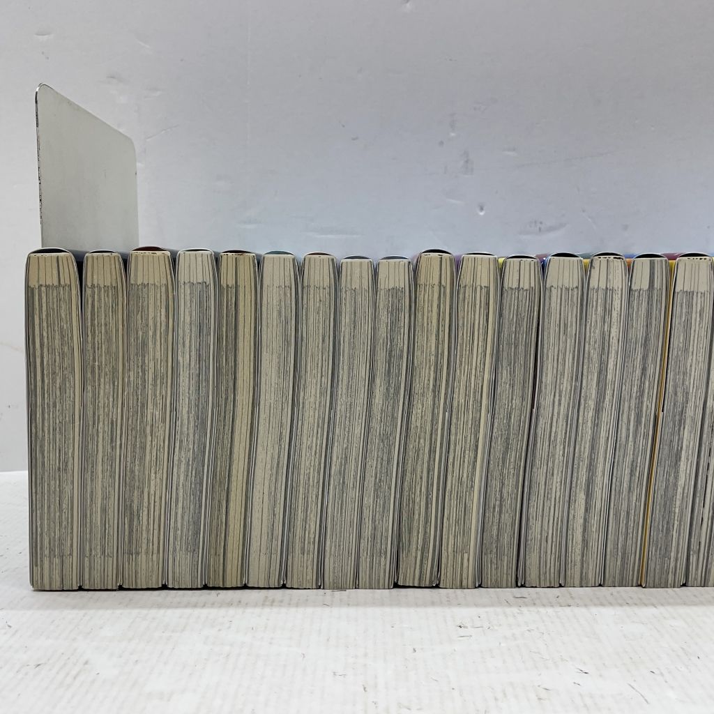 画|川上泰樹