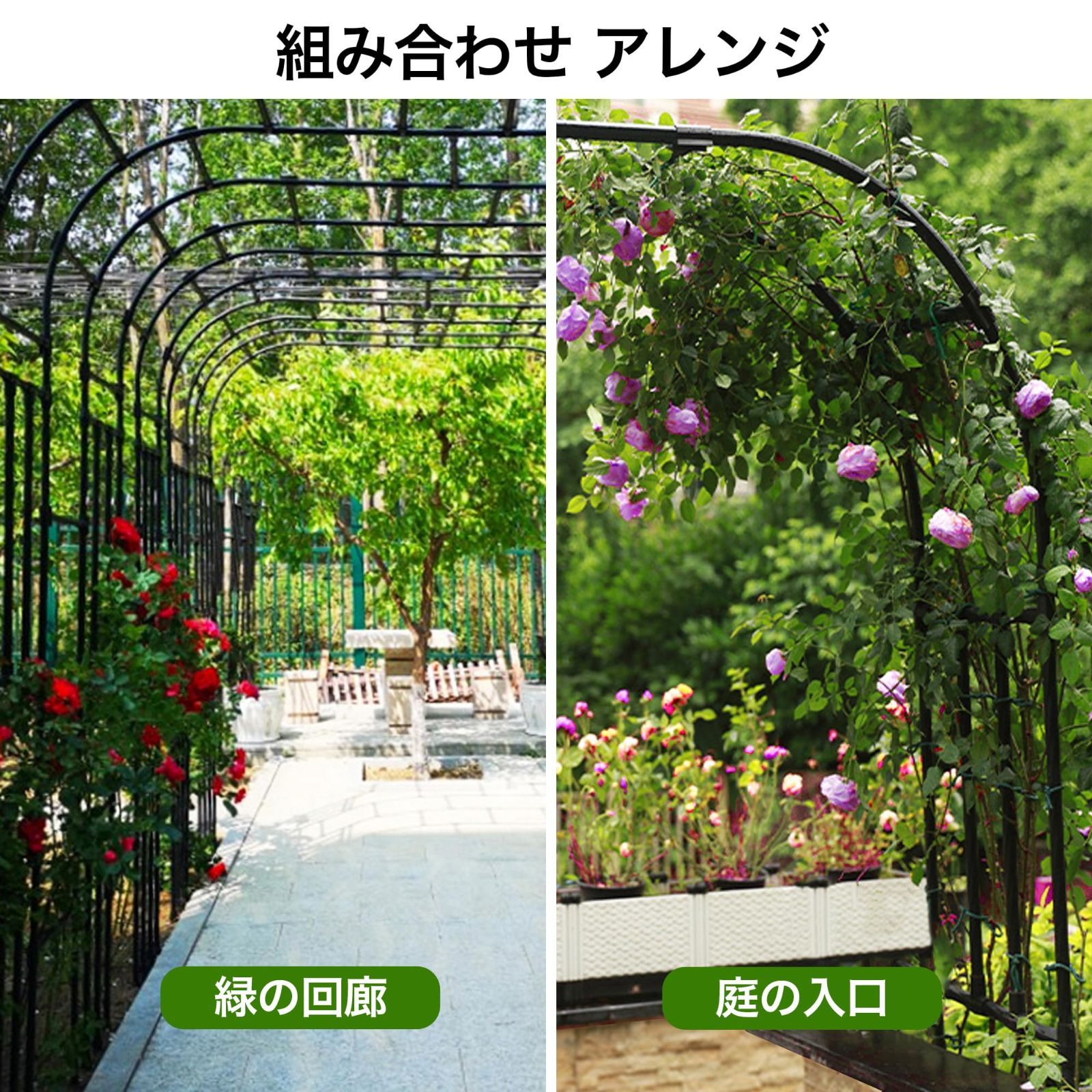 庭 バラアーチ