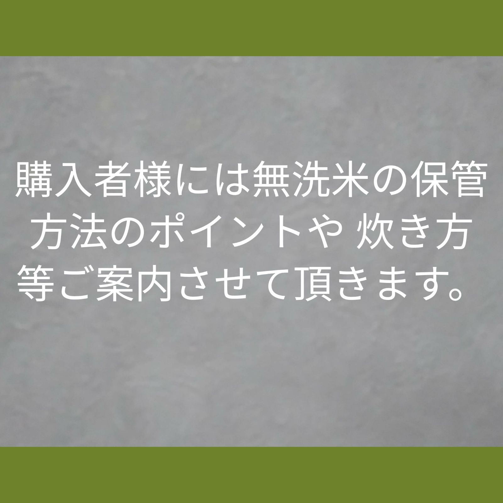 淡路島田舎暮らしレンゲ米 令和5年新米 キヌヒカリ 10kg×2袋 無洗米