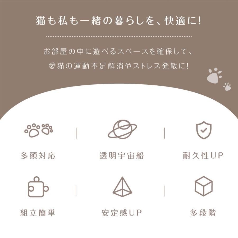 猫ハウス