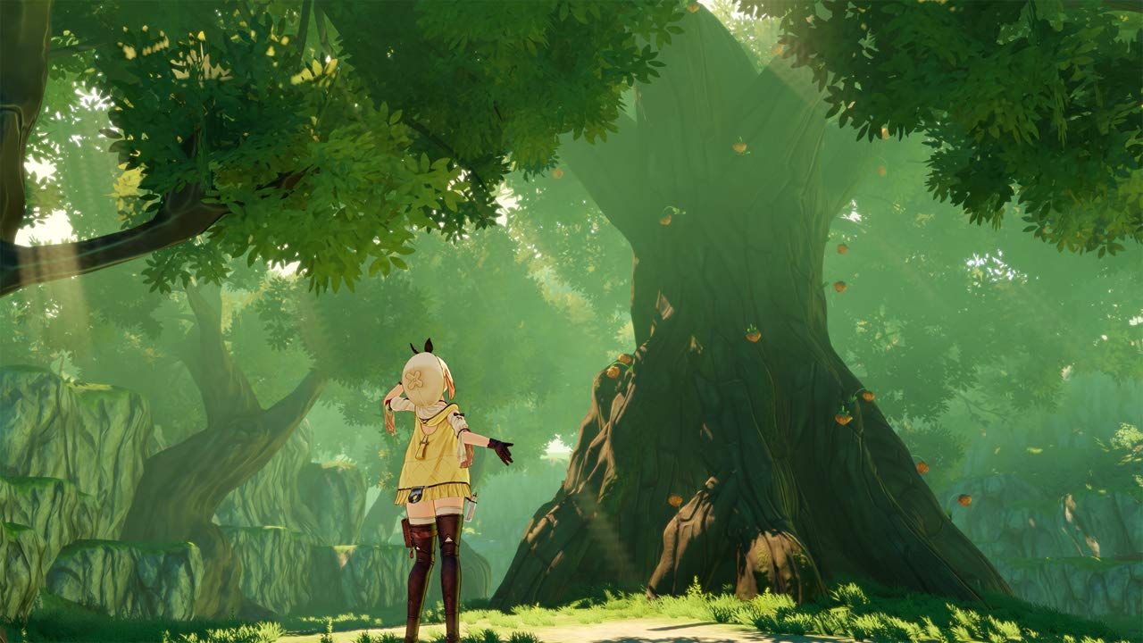 PS4】ライザのアトリエ ~常闇の女王と秘密の隠れ家~ プレミアム