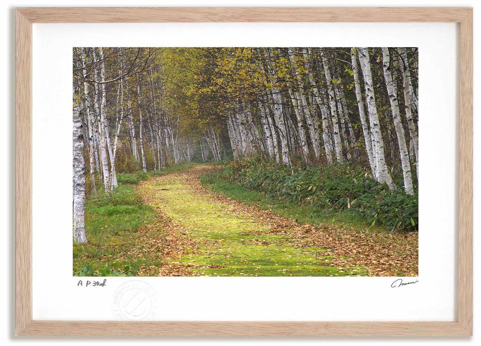 古筆】新古今和歌集 室町時代 参議篁の和歌 木村寿禎旧所蔵