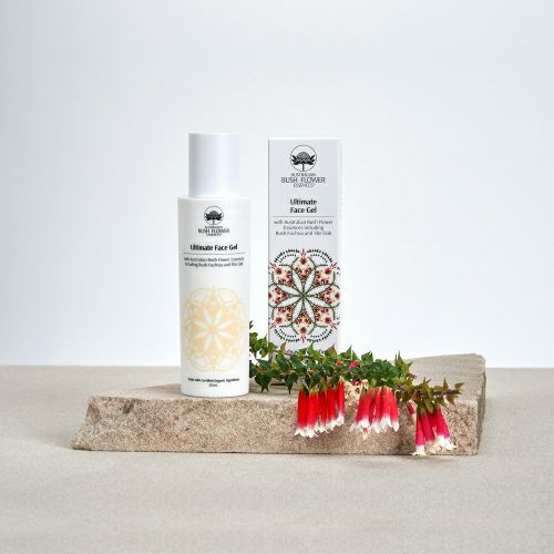 イオン化粧品 カラークリーム クリアベース 紅の意 22g ほぼ未使用