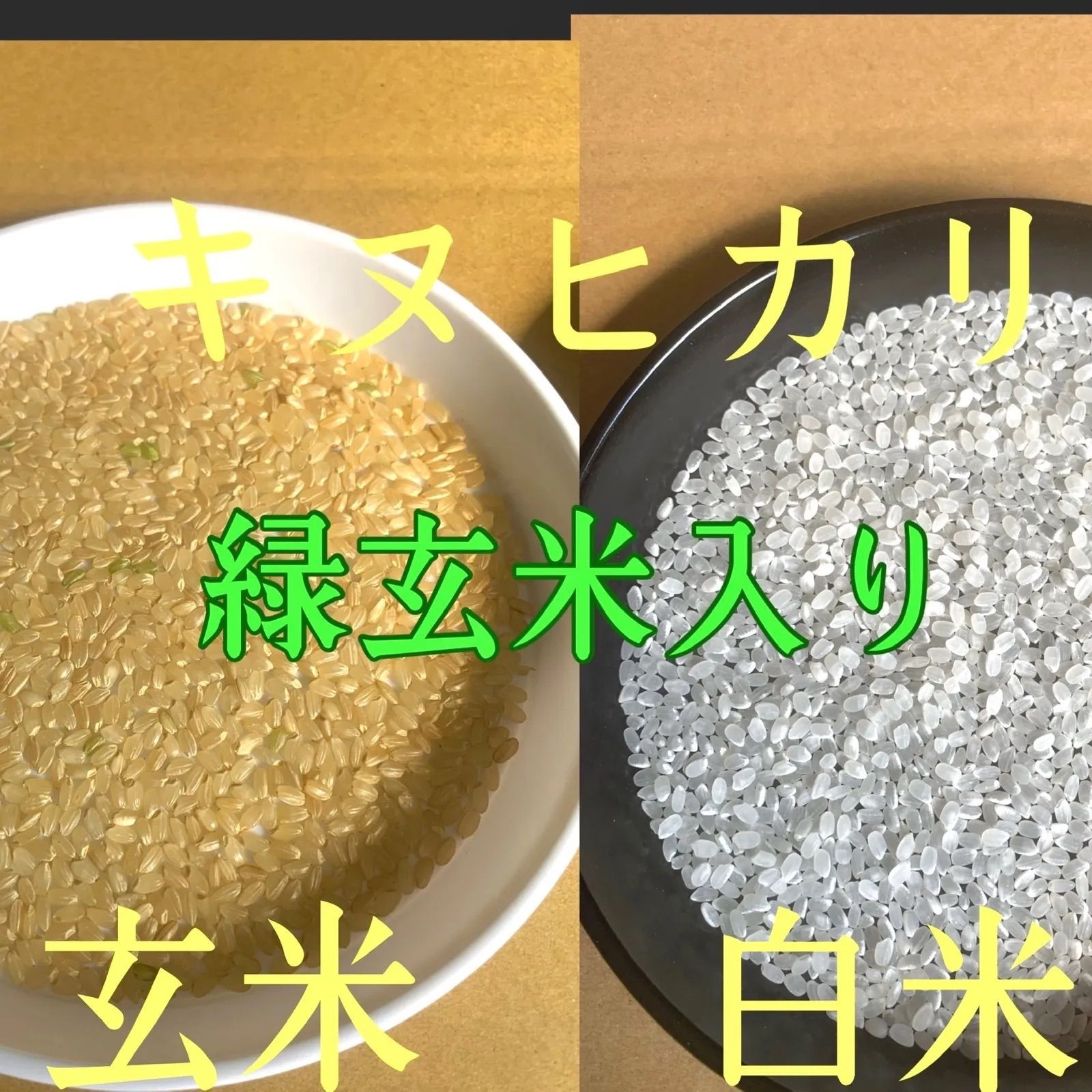 代引不可 令和4年産 キヌヒカリ 新米 白米 20 キロ 淡路島産 20kg