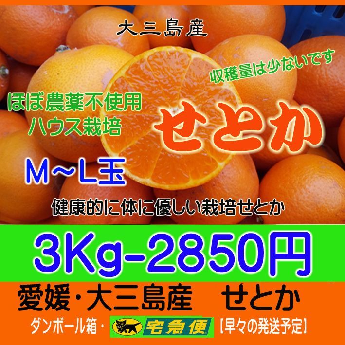 せとかM・L3Kg】超減農薬ハウス栽培・とろ～り！触感が最高 - メルカリ