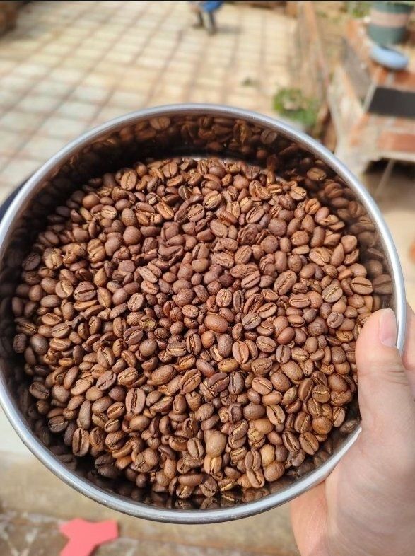 強くお勧め 電動焙煎機 直火式コーヒー豆焙煎機 焙煎冷却機 小型焙煎機 電動ロースター ドラムタイプ ステンレス鋼 業務用 家庭用 3.8L WWW_KANDAIZUMI_COM