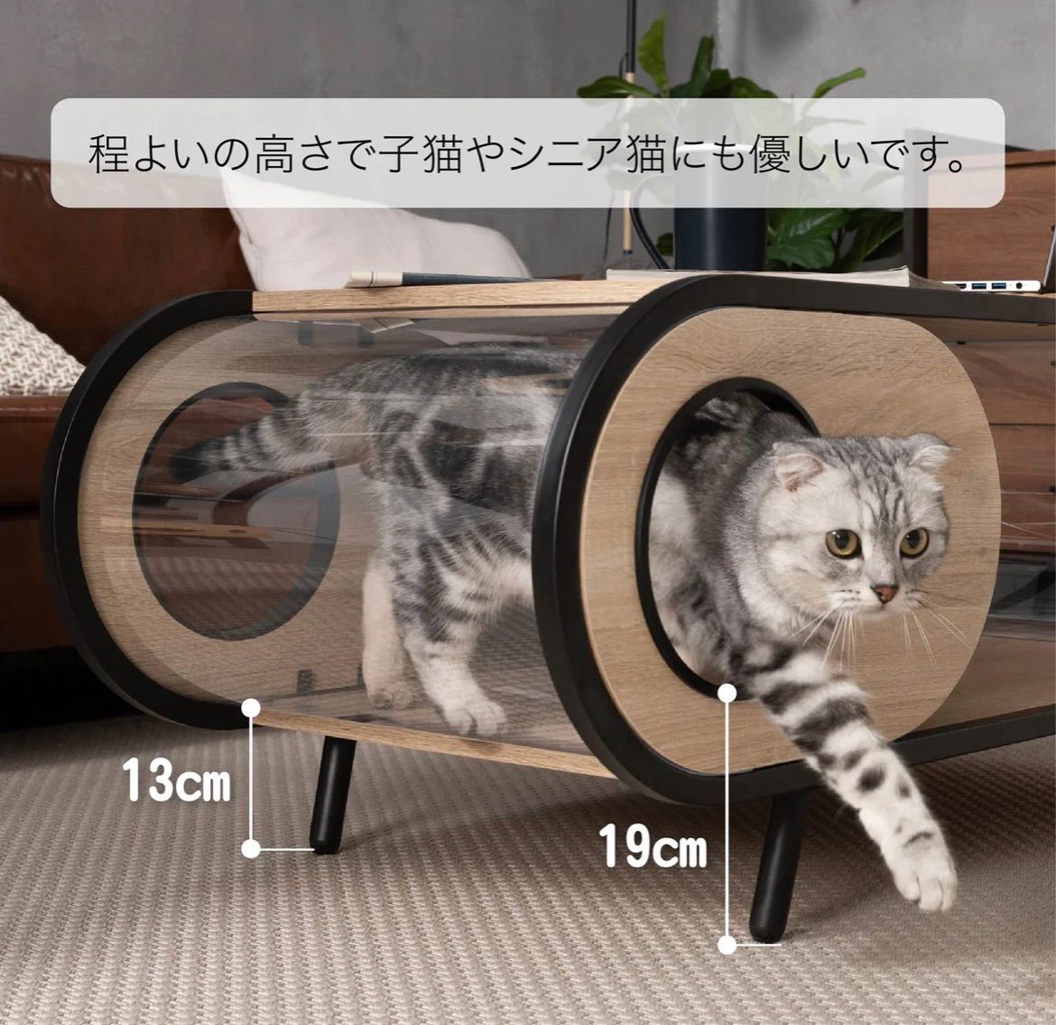 MYZOO マイズー COSMOS コスモス テーブル 猫ハウス 猫家具 おしゃれ