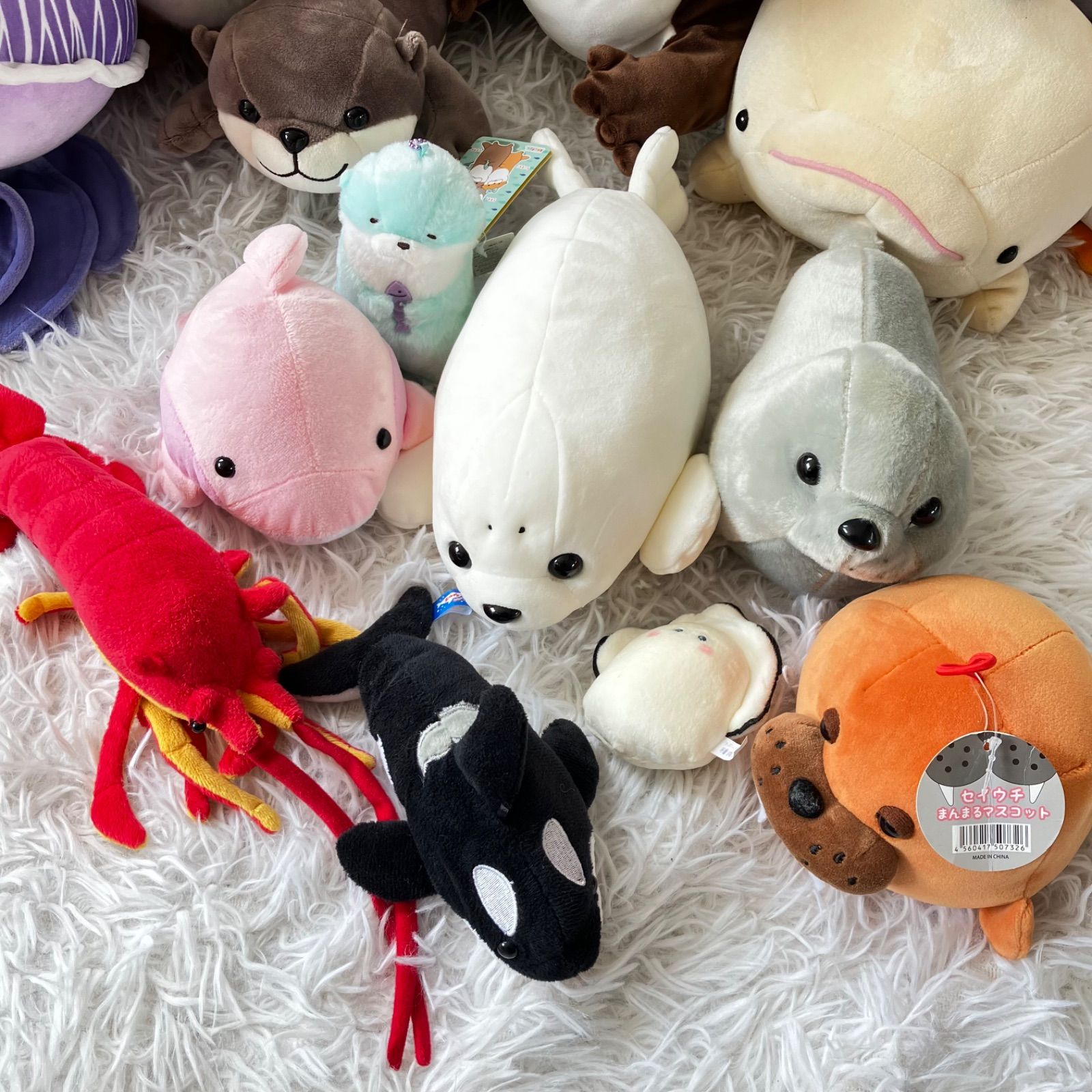 動物系 水生物系 ぬいぐるみ 置物 小物 等色々 まとめ売り イルカのぬいぐるみ】キュート販売◇CUTE marine collection◇お出かけ