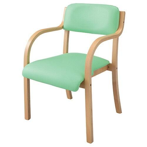 【新品・3営業日で発送】HOME STYLING スタッキングチェアー カーム ビニールレザー グリーン 1脚(SCC-GN-NA)