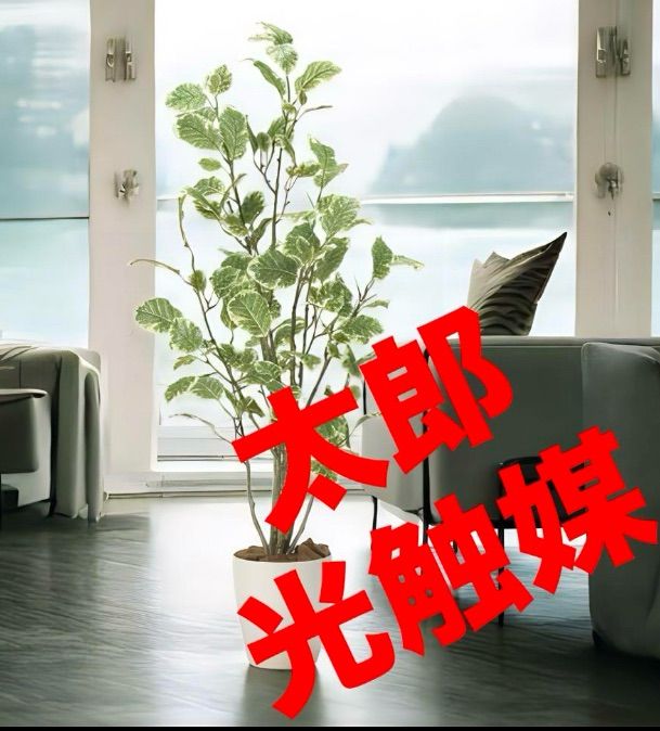 光触媒 人工観葉植物 ウォールグリーン フェイクグリーン ポリシャス