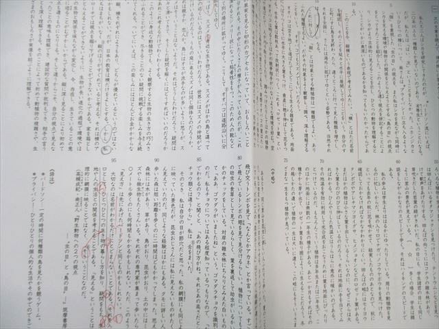 SAPIX 小6 ウィークリーサピックス 志望校別特訓 国語 通年セット 【計