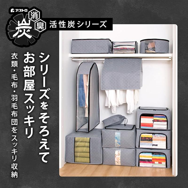 衣類収納ケース 大