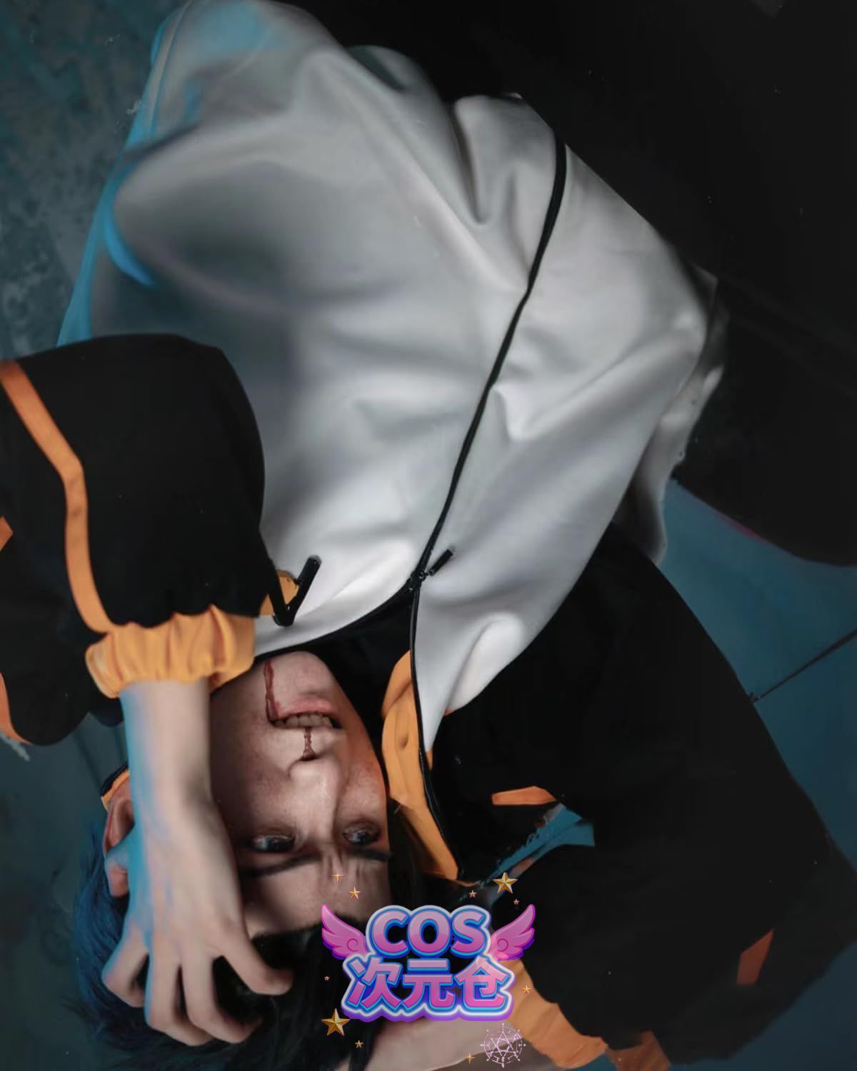 菜月昴 ウィッグ付き 神併 Re 0から始まる異世界生活 コスプレ レム ラム エミリア メイド服 リゼロ コスプレ衣装 大人用