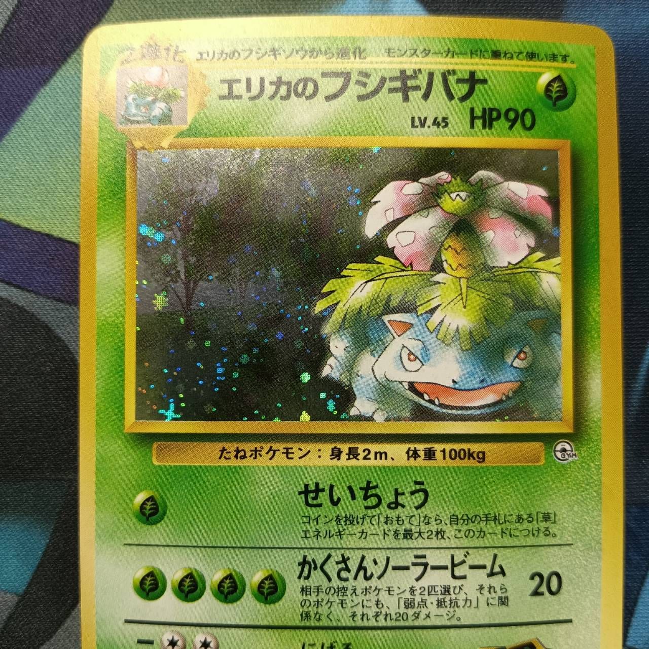 ポケモンカード Bランク エリカのフシギバナ Holo LV45HP90NO003 闇からの挑戦 旧裏 シングルカード ポケカ Pokemon ポケットモンスター ポケモンカード Bランク エリカのフシギバナHolo LV45HP90NO003