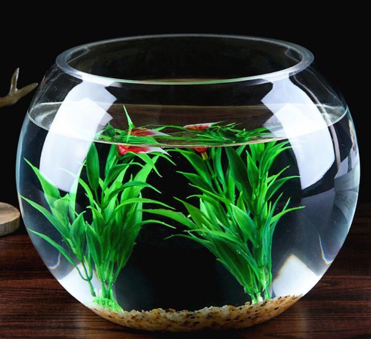 金魚鉢 ガラス テラリウム アクアリウム 花瓶 水槽 容器 ボウル ミニ