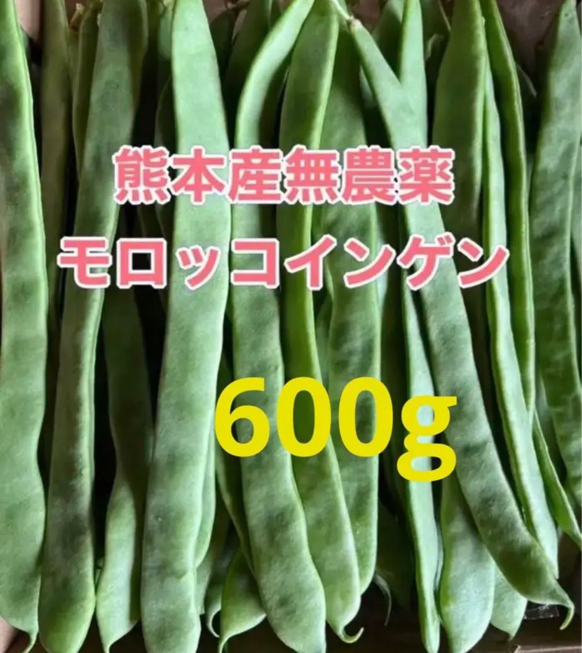 インゲン 600g - 野菜