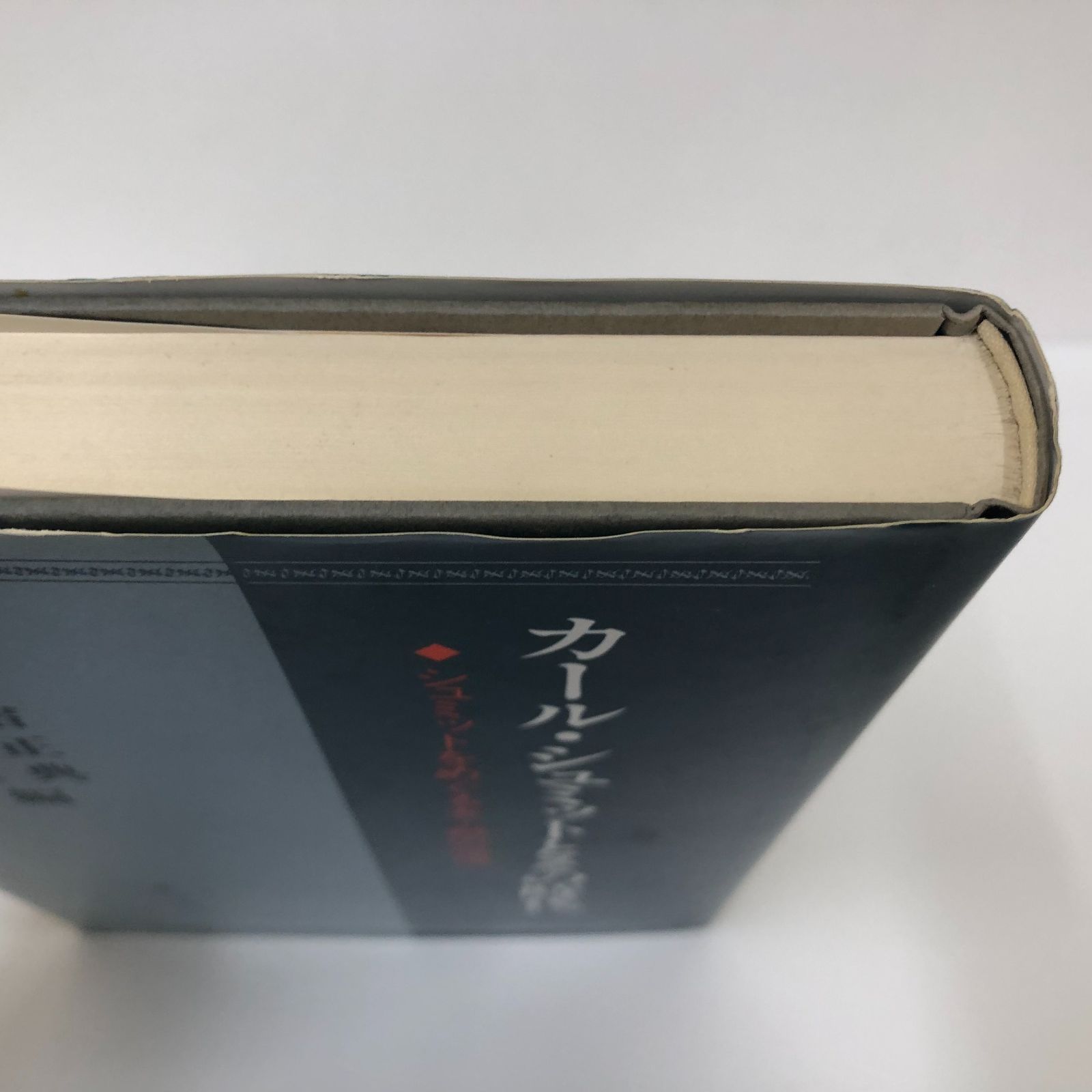 Y-1-4938662264]カール・シュミットとその時代: シュミットをめぐる友