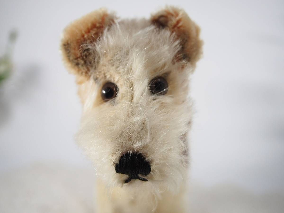 シュタイフ☆Foxy Foxterrier17cm☆フォックステリアの