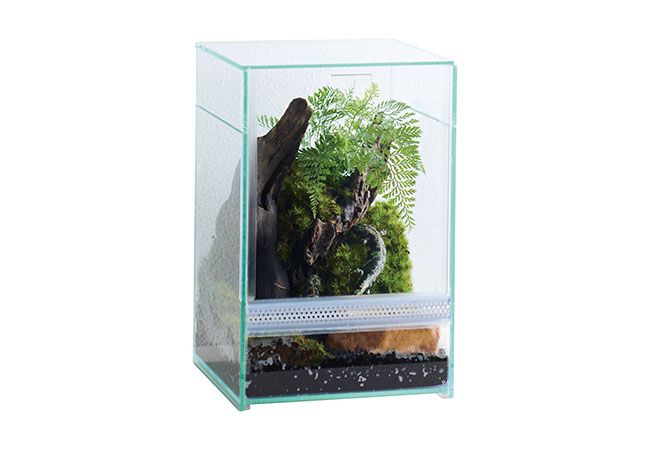 ★美品2個セット　爬虫類ケージGEXレプテリア　クリアネオフィット　１８０ Amazon | レプテリア クリアネオフィット 180 小型爬虫類 両生類