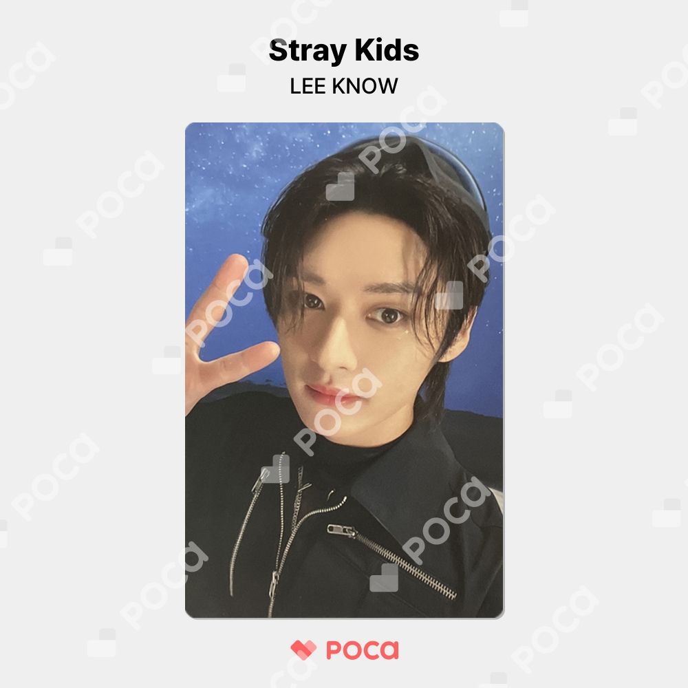 straykids リノ スキズ トレカ Stray Kids 3RD FANMEETING PILOT