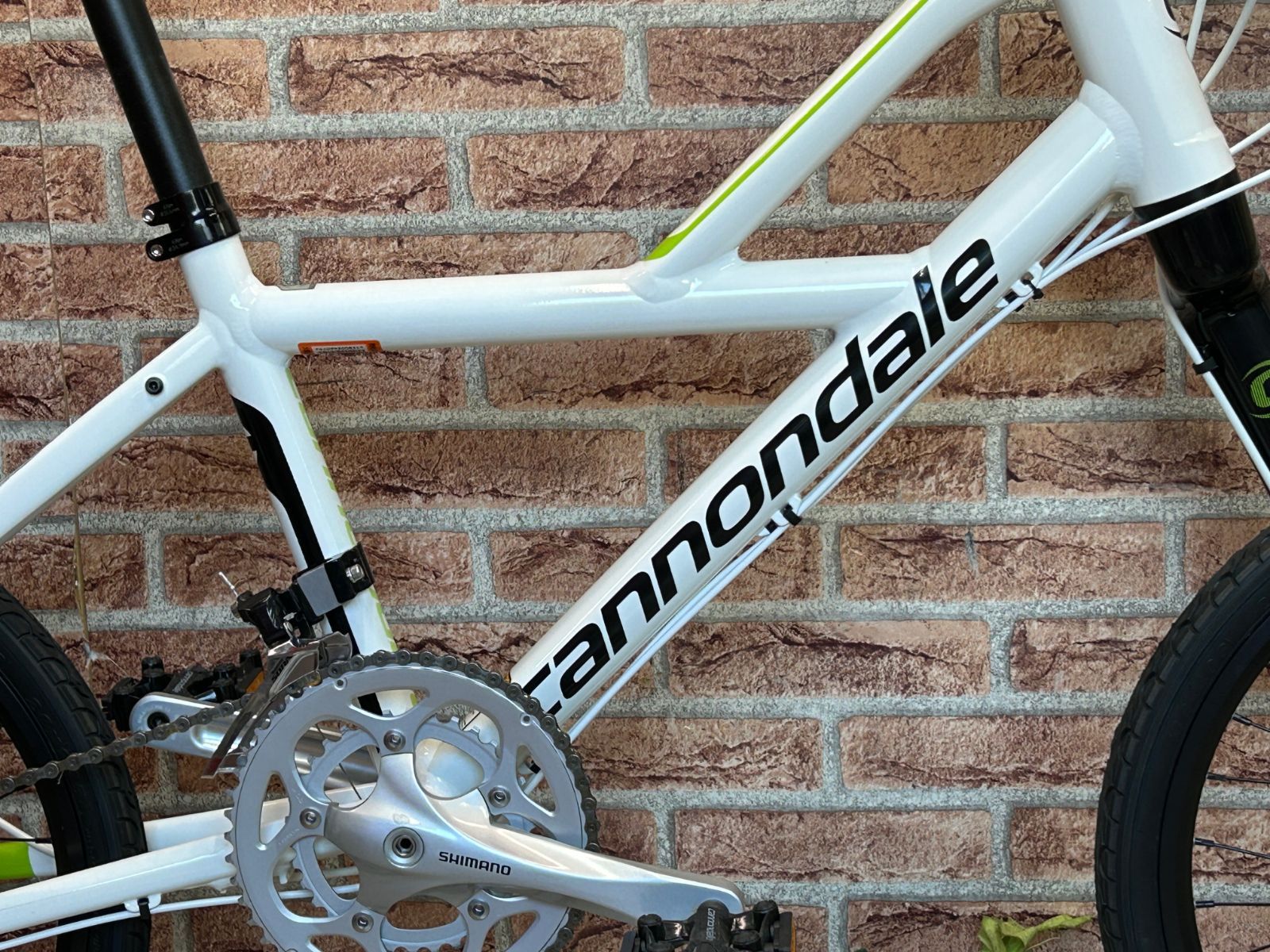 テルスポ イチ推し!! 希少 廃盤 ほぼ未使用!! CANNONDALE