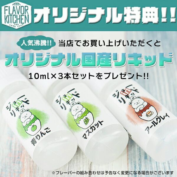 NEVOKS PAGEE POD ネボックス ペイジー ポッド VAPE 電子タバコ 本体 禁煙