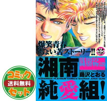 藤沢とおる詰め合わせセット ♦️送料無料『藤沢とおる 9作品 全巻
