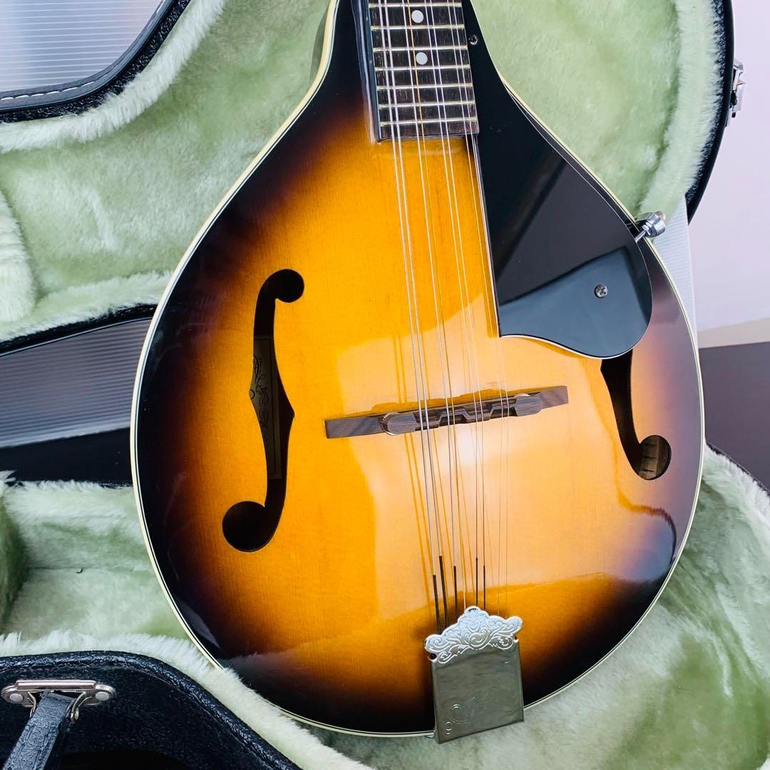 aria エレキマンドリン (Ritter ケース付き)aria エレキマンドリン