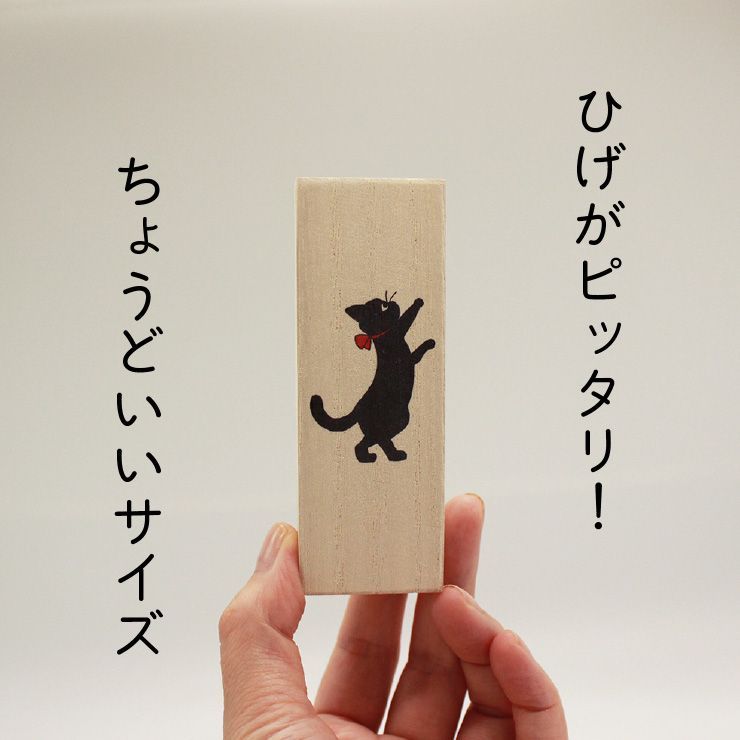 猫のひげケース 幸運の猫のひげ ヒゲ 髭 ネコ ねこ 桐箱 日本製