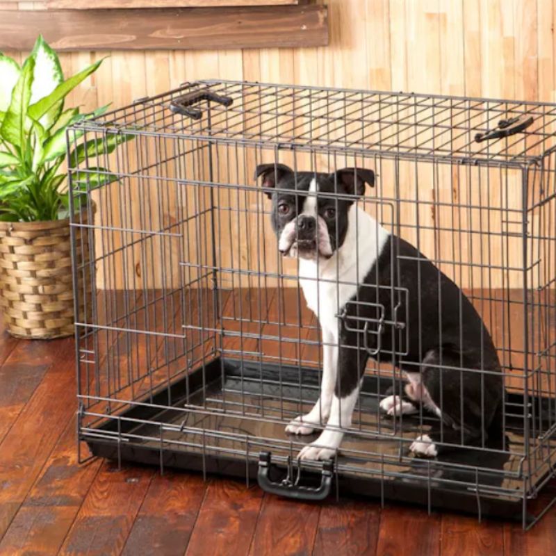 ペット用品 犬