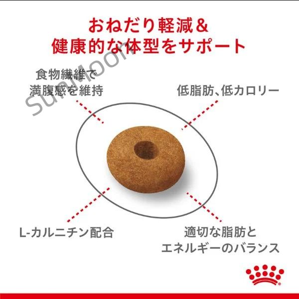 アペタイト