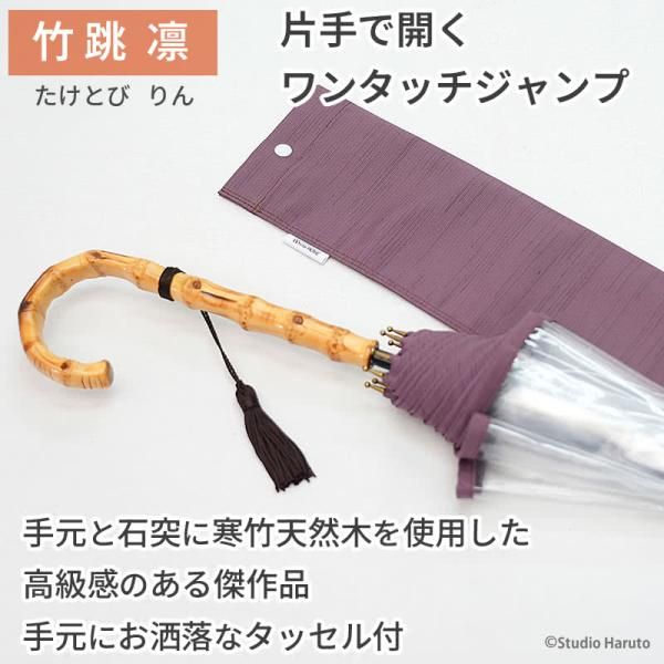長傘 8本骨傘