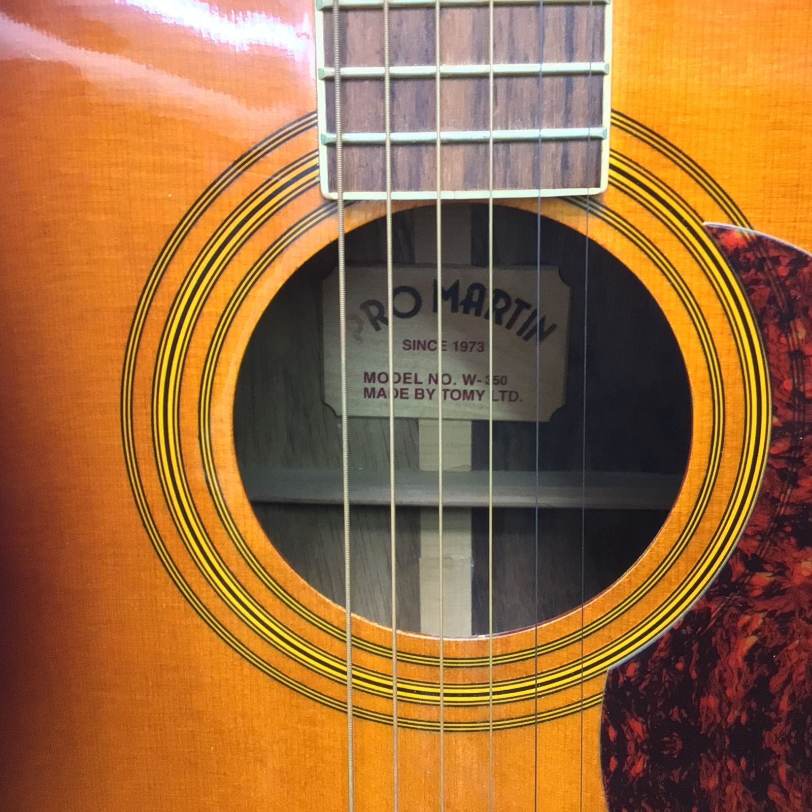ギター PRO MARTIN W-350 Pro Martin (Japan) W-350 1975 | Reverb