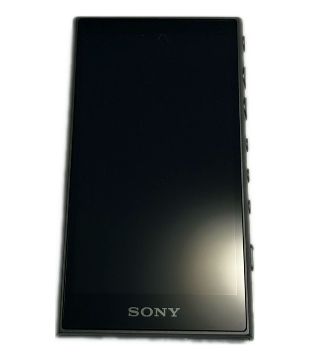 綺麗なiPod classic 第5世代 30GBから256GBにスケルトン ipod classic