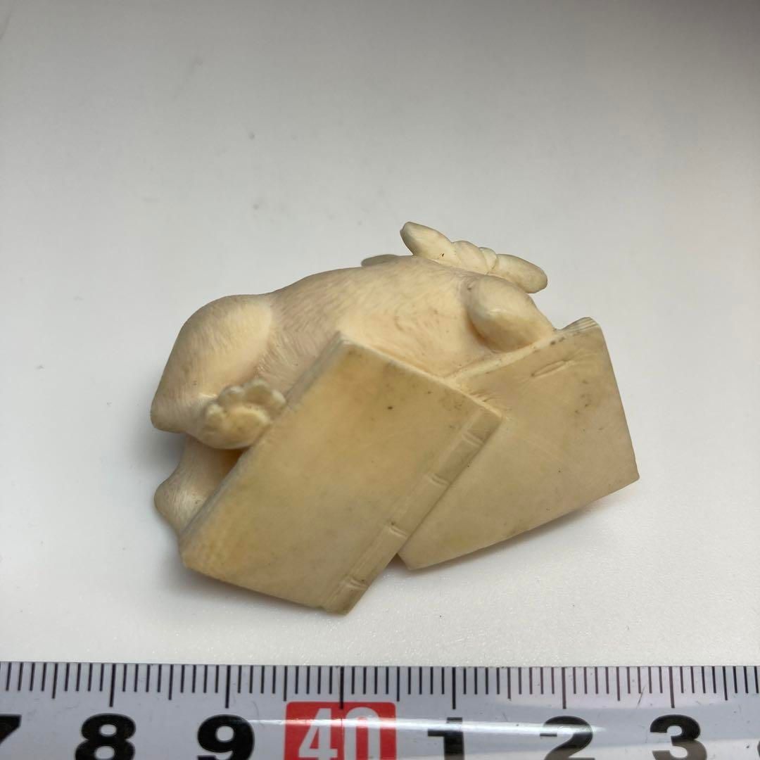  上彫 犬の根付 19 g 幅4.5㎝ 本Y 5-0616 トコチ その他 小物