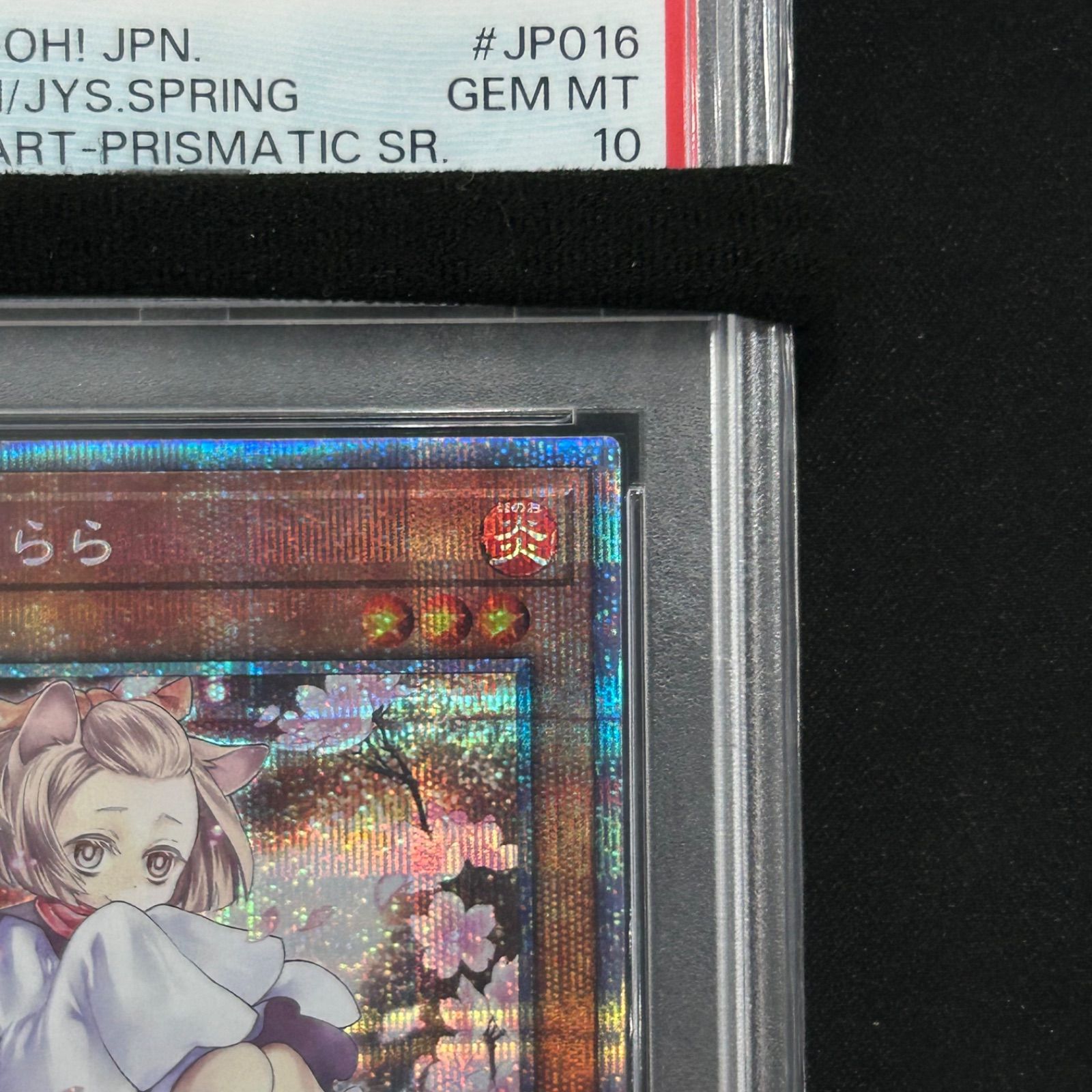 遊戯王 PSA10 灰流うらら 絵違い イラスト違い プリズマティック