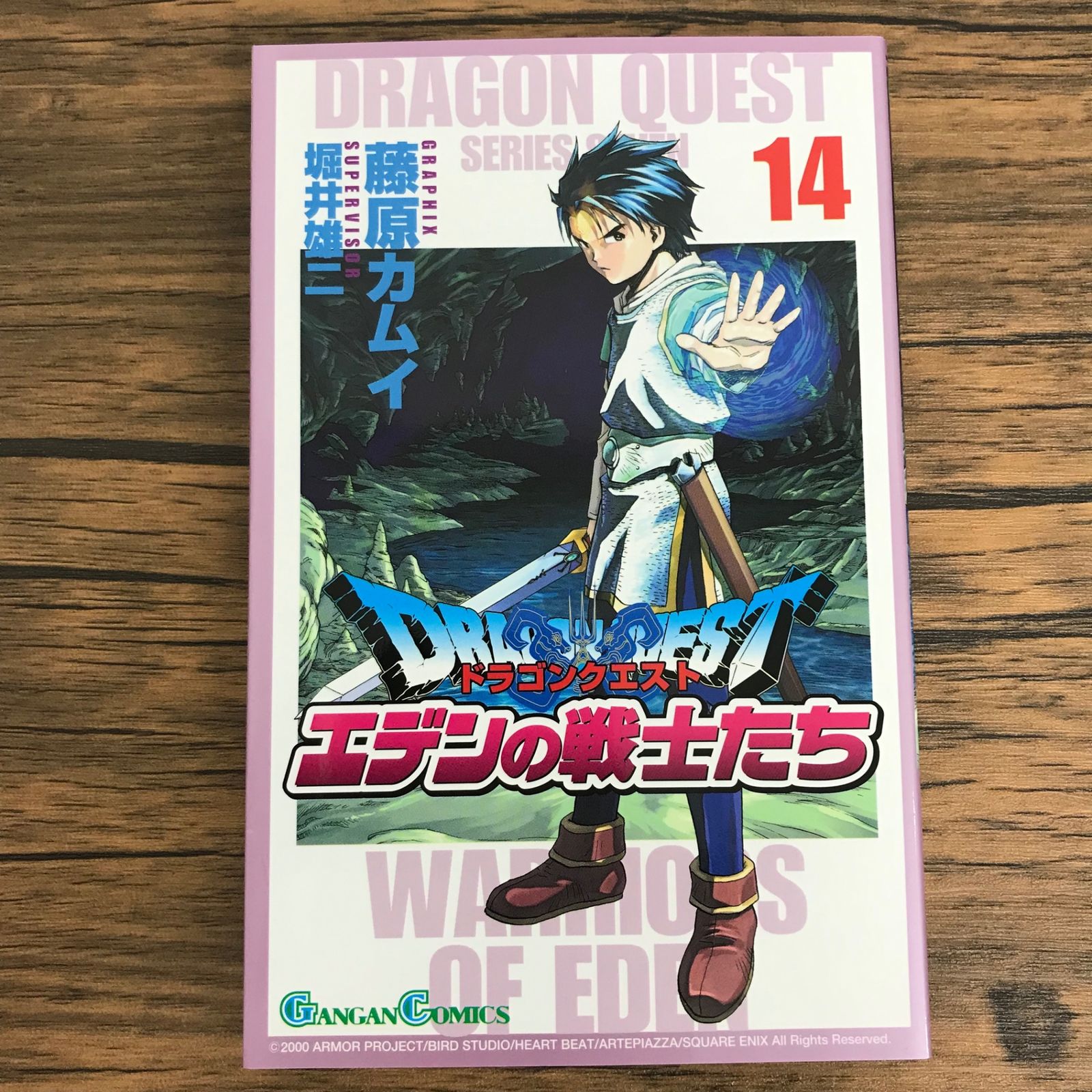 ドラゴンクエスト エデンの戦士たち 01-14藤原カムイ Amazon.co.jp: ドラゴンクエスト エデンの戦士たち 14巻