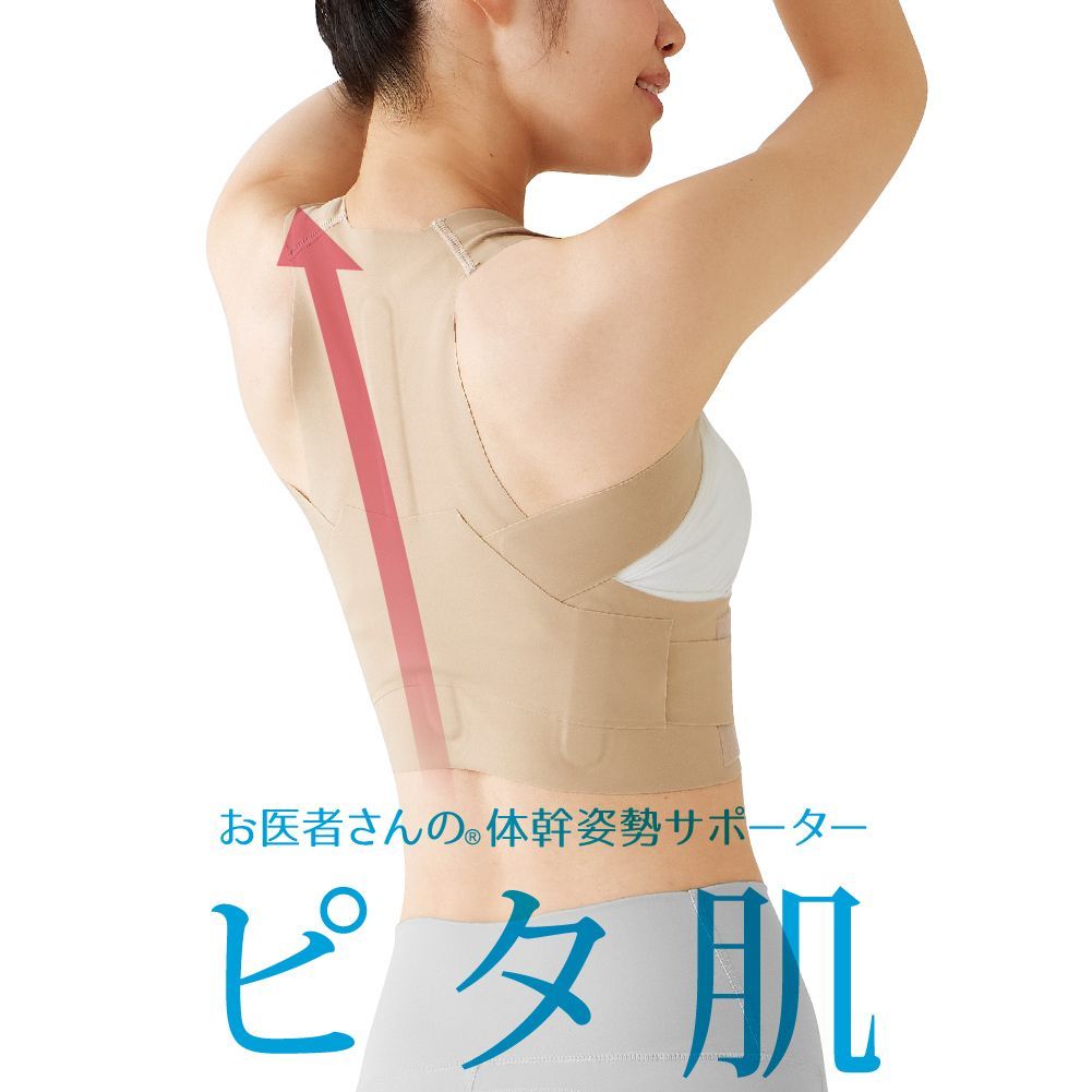 アルファックス 姿勢ベルト お医者さんの体幹姿勢サポーター ピタ肌 背筋ベルト 背中用 薄型 サイズ選択 M～L L～LL