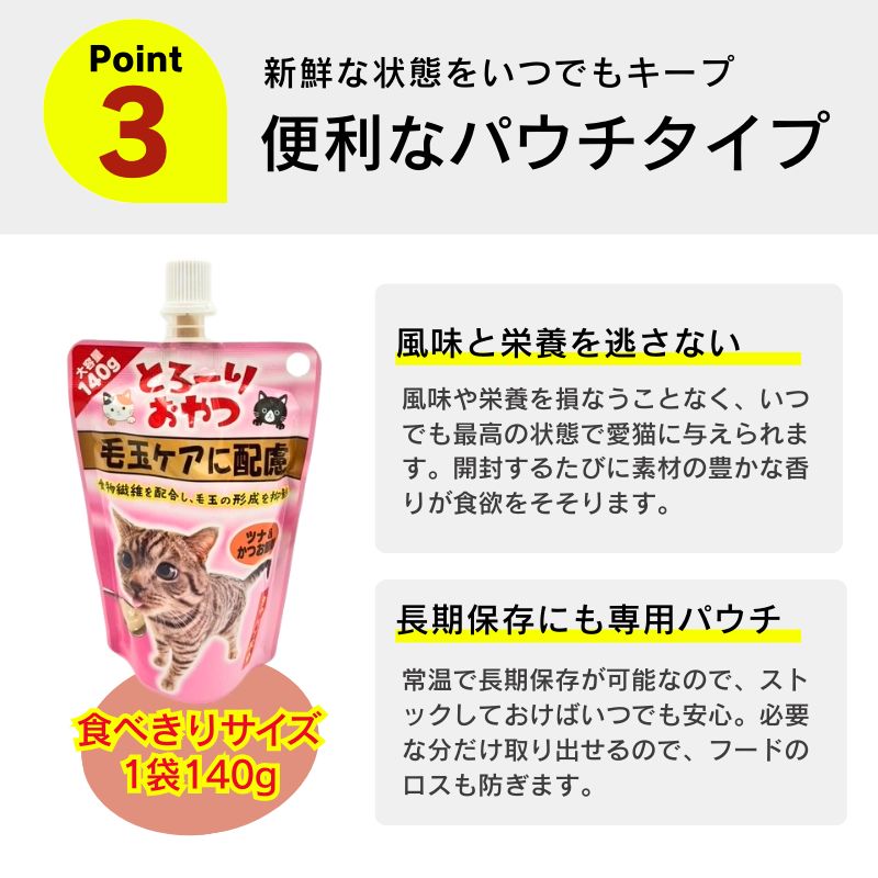 高齢猫 シニア