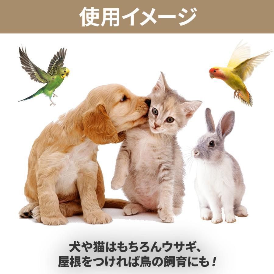 中型犬 大型犬