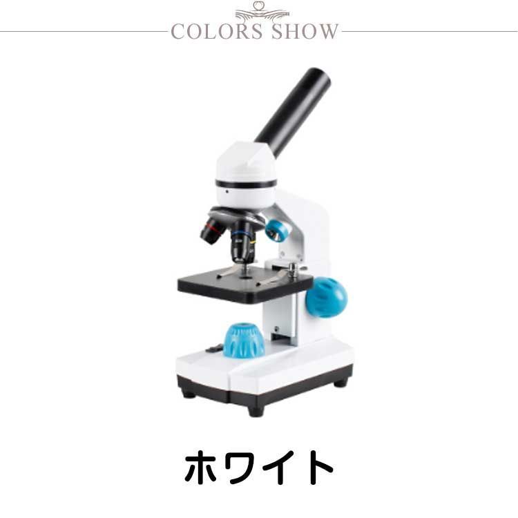 自由研究 学習